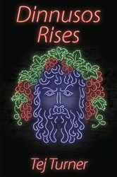 Book cover of Dinnusos Rises by Tej Turner