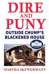 Book cover of DIRE AND PUNY by Martha Skewermann