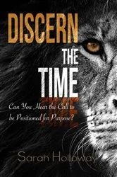 Book cover of Discern the Time by Sarah Holloway