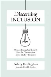 Book cover of Discerning Inclusion by Ashley Hardingham