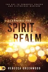 Book cover of Discerning the Spirit Realm by Unknown