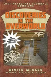 Book cover of Discoveries in the Overworld by Winter Morgan