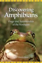 Book cover of Discovering Amphibians by John Himmelman