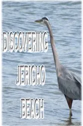 Book cover of Discovering Jericho Beach by Rowena Kong