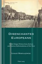 Book cover of Disenchanted Europeans by Franziska Meyer