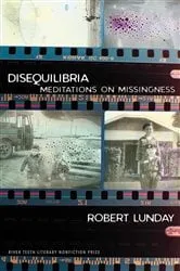Book cover of Disequilibria by Robert Lunday