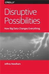 Book cover of Disruptive Possibilities: How Big Data Changes Everything by Jeffrey Needham