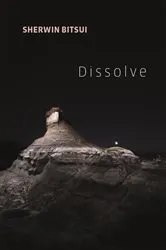 Book cover of Dissolve by Unknown