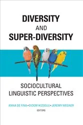 Book cover of Diversity and Super-Diversity by Anna De Fina