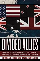 Book cover of Divided Allies by Thomas K. Robb