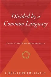 Book cover of Divided by a Common Language by Ari Daniel Levine