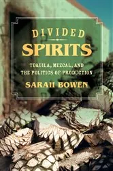 Book cover of Divided Spirits by Sarah Bowen