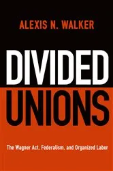 Book cover of Divided Unions by Alexis N. Walker