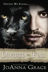 Book cover of Divided We Fall by Alan Gibbons