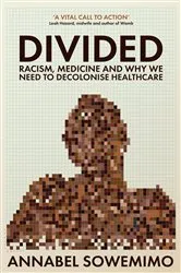 Book cover of Divided by Annabel Sowemimo