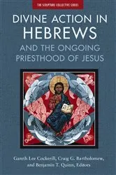Book cover of Divine Action in Hebrews by Gareth Lee Cockerill