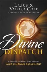 Book cover of Divine Dispatch by LaJun Cole