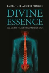 Book cover of Divine Essence by Emmanuel Adotei Mingle