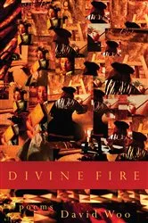 Book cover of Divine Fire by David Woo