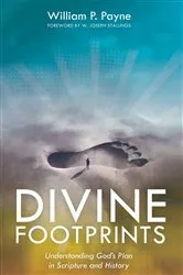 Book cover of Divine Footprints by William P. Payne