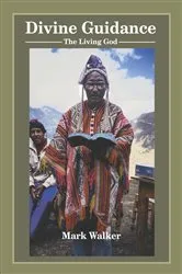 Book cover of Divine Guidance by Mark Walker