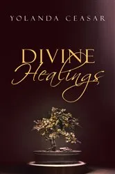 Book cover of Divine Healings by Yolanda Ceasar