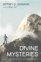 Book cover of Divine Mysteries by Jeffrey D. Johnson