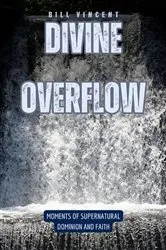 Book cover of Divine Overflow by Bill Vincent