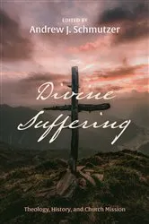 Book cover of Divine Suffering by Andrew J. Schmutzer