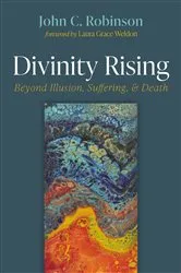 Book cover of Divinity Rising by John C. Robinson