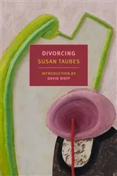 Book cover of Divorcing by Susan Taubes