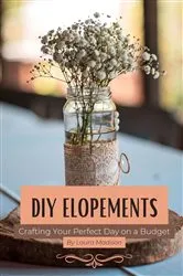 Book cover of DIY Elopements by Laura Madison