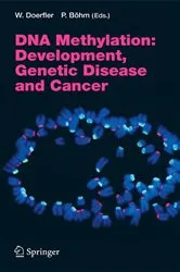 Book cover of DNA Methylation: Development, Genetic Disease and Cancer by Walter Doerfler
