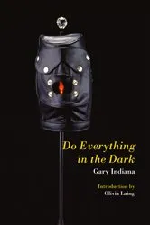 Book cover of Do Everything in the Dark by Gary Indiana