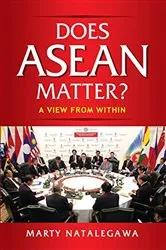 Book cover of Does ASEAN Matter? by Marty Natalegawa