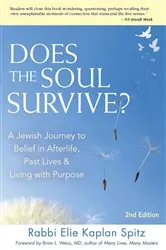 Book cover of Does the Soul Survive? (2nd Edition) (2nd ed.) by Rabbi Elie Kaplan Spitz