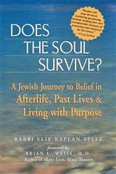 Book cover of Does the Soul Survive? by Elie Kaplan Spitz