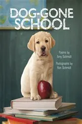 Book cover of Dog-Gone School by Amy Schmidt