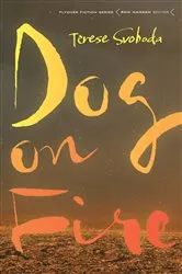Book cover of Dog on Fire by Terese Svoboda