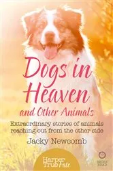 Book cover of Dogs in Heaven: and Other Animals by Jacky Newcomb