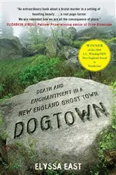 Book cover of Dogtown by Katherine Applegate