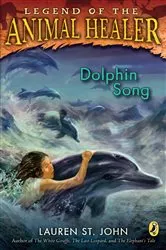 Book cover of Dolphin Song by Tom Richards