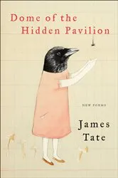 Book cover of Dome of the Hidden Pavilion by James Tate