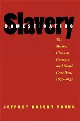 Book cover of Domesticating Slavery by Jeffrey Robert Young