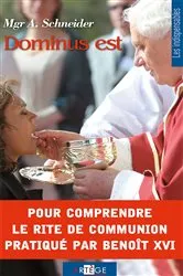 Book cover of Dominus est by Mgr Athanasius Schneider