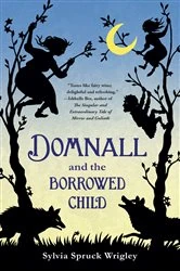 Book cover of Domnall and the Borrowed Child by Sylvia Spruck Wrigley