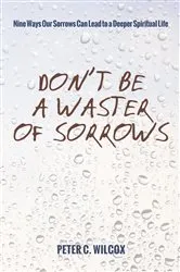 Book cover of Don’t Be a Waster of Sorrows by Peter C. Wilcox
