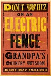Book cover of Don't Whiz on an Electric Fence by Roy English
