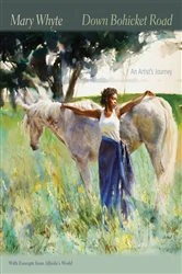 Book cover of Down Bohicket Road by Mary Whyte