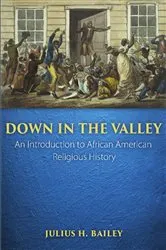 Book cover of Down in the Valley by Julius H. Bailey